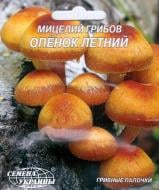 Мицелий Семена Украины Опенок летний 10 шт.