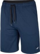 Шорты 4F NOSH4-SKMF003-30M NOSH4-SKMF003-30M р. XL синий