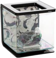 Акваріум Hagen Marina Betta Kit Ying/Yang для півника чорний 2 л