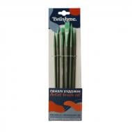 Набор профессиональных кисточек нейлоновых Премиум 6 шт. PBR100 Brushme