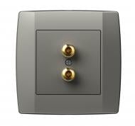 Розетка акустическая двойная TEM Logiq 2x4 мм титан KQ23TIXO-U