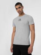 Футболка 4F 4FSS22TTSHM259-25S р.L сірий