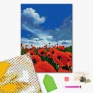 Алмазная мозаика Маковое поле 40х50 см Brushme