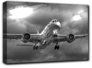 Картина Boeing 787 Dreamliner 102x69 см Hotel Arizona HD Gray27x40-IFR-Boeing 787-43747