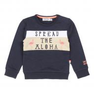 Свитшот для мальчика Dirkje р.110 темно-синий V42532-35