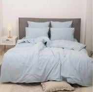 Комплект постельного белья Вареный хлопок 40-0018 Northern Tale 110х140 см голубой MirSon