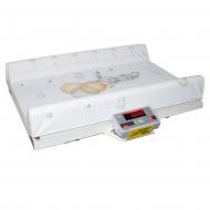 Весы АКСІС Україна с ростомером BDU15-Medical 12150 г 1 шт.