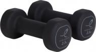 Гантелі Energetics Neoprene Dumb. Pairs 106225-900050 Neoprene Dumbbells 2x2,5 кг чорний