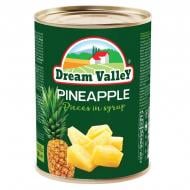 Ананас консервированный dream valley кусочками в сиропе 540 г