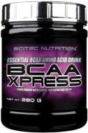 Амінокислоти Scitec Nutrition BCAA Xpress яблучний 280 г