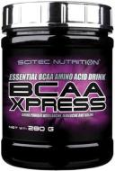 Амінокислоти Scitec Nutrition BCAA Xpress манго 280 г