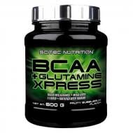 Амінокислотна суміш Scitec Nutrition BCAA+Glutamine Xpress 600 г