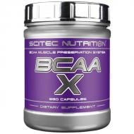 Амінокислоти Scitec Nutrition BCAA-X без смаку 330 капс.