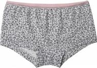 Труси для дівчинки Bibo 12124 р.116 рожевий