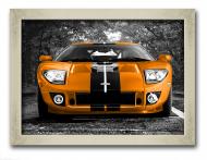 Картина спортивное авто Ford-GT 41x31 см Hotel Arizona HD P-1 SILVER FR-SPORT CAR-12x16-GO