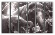 Картина модульная Слоны и погонщик 171x112 см Hotel Arizona HD C-6-V ELEPHANTS-44x67-CEPIA Картина модульная Слоны и погонщик 171x112 см Hotel Arizona HD C-6-V ELEPHANTS-44x67-CEPIA