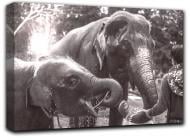 Картина Слоны и погонщик 41x28 см Hotel Arizona HD C-1-V ELEPHANTS-11x16-CEPIA