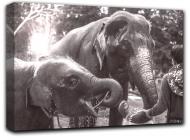 Картина Слоны и погонщик 77x51 см Hotel Arizona HD C-1-V ELEPHANTS-20x30-CEPIA