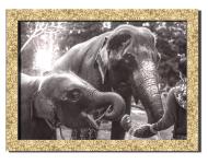 Картина Слоны 41x31 см Hotel Arizona HD P-1 GOLDEN FR-V ELEPHANTS-12x16-