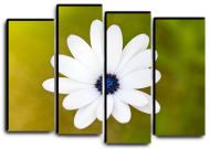 Картина модульная Прекрасный цветок 112x82 см Hotel Arizona HD C-4-BLOSSOM-32x44-OTHER