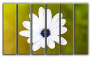 Картина модульная Прекрасный цветок 171x112 см Hotel Arizona HD C-6-BLOSSOM-44x67-OTHER Картина модульная Прекрасный цветок 171x112 см Hotel Arizona HD C-6-BLOSSOM-44x67-OTHER
