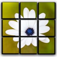 Картина модульная Прекрасный цветок 77x77 см Hotel Arizona HD C-9-BLOSSOM-30x30-OTHER