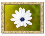 Картина Прекрасный цветок 41x31 см Hotel Arizona HD P-1 GOLDEN FR-BLOSSOM-12x16-OTHE