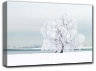 Картина Зимний пейзаж 41x28 см Hotel Arizona HD C-1-SNOW-11x16-WHITE