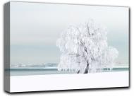 Картина Зимний пейзаж 77x44 см Hotel Arizona HD C-1-SNOW-17x30-WHITE