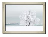 Картина Зимний пейзаж 41x31 см Hotel Arizona HD P-1 SILVER FR-SNOW-12x16-WHITE