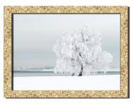 Картина Зимний пейзаж 41x31 см Hotel Arizona HD P-1 GOLDEN FR-SNOW-12x16-WHITE