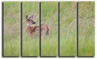 Картина модульная Косуля 140x89 см Hotel Arizona HD C-5-DEER-35x55-GREEN