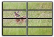 Картина модульная Косуля 254x178 см Hotel Arizona HD C-8 HUGE-DEER-70x100-GREEN Картина модульная Косуля 254x178 см Hotel Arizona HD C-8 HUGE-DEER-70x100-GREEN