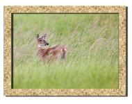 Картина Косуля 41x31 см Hotel Arizona HD P-1 GOLDEN FR-DEER-12x16-GREEN