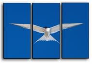 Картина модульная Орел 84x56 см Hotel Arizona HD C-3-BIRD-22x33-BLUE