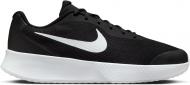 Кроссовки мужские Nike M VAPOR LITE 3 HC FZ2155-001 р.41 черные