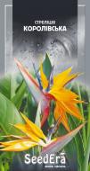 Семена Seedera стрелитция королевская комнатная 5 шт.