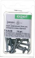 Шуруп универсальный полукруглая головка с буртиком 5x35 мм 14 шт. белый цинк Expert Fix