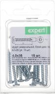 Шуруп універсальний напівкругла головка 4x35 мм 15 шт. білий цинк Expert Fix