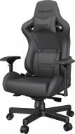 Кресло Anda Seat Kaiser 2 Napa Black Size XL (AD12XL-04-B-L-B01) черный 