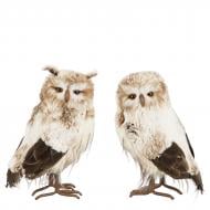 Декоративная новогодняя фигура Edelman Декор «Сова» коричневая 18×14×31 см 31 см Декоративная новогодняя фигура Edelman Декор «Сова» коричневая 18×14×31 см 31 см