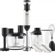Блендер погружной ZHB6500 Full Set