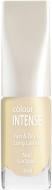 Лак для ногтей Colour Intense NP-303 150-Shine 10 мл Лак для ногтей Colour Intense NP-303 150-Shine 10 мл