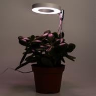 Лампа світлодіодна для рослин для росту рослин Девілон 48 лампочок матова (721077)