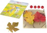 Набір для творчості GoKi Прес для рослин Peggy Diggledey 58487G