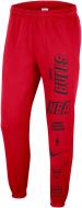 Штани Nike CHI FLC PANT CTS DN9110-657 р. XL червоний