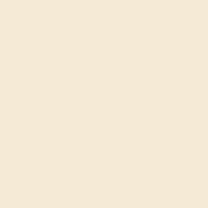 Краска керамическая MAGNAT PRO Ceramic Superior 3 глубокий мат NCS S 0505-Y30R 9 л Краска керамическая MAGNAT PRO Ceramic Superior 3 глубокий мат NCS S 0505-Y30R 9 л