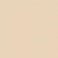 Краска керамическая с колорированием MAGNAT PRO Ceramic Superior 3 глубокий мат NCS S 1010-Y40R 0,9 л Краска керамическая с колорированием MAGNAT PRO Ceramic Superior 3 глубокий мат NCS S 1010-Y40R 0,9 л