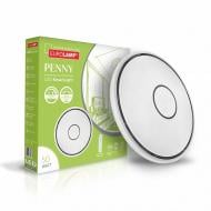 Светильник светодиодный Eurolamp Penny белый 3000-6500 К LED-SL-50W-T19 Светильник светодиодный Eurolamp Penny белый 3000-6500 К LED-SL-50W-T19