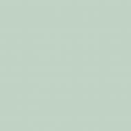 Фарба керамічна з колоруванням MAGNAT PRO Ceramic Superior 3 глибокий мат NCS S 1515-G20Y 0,9 л